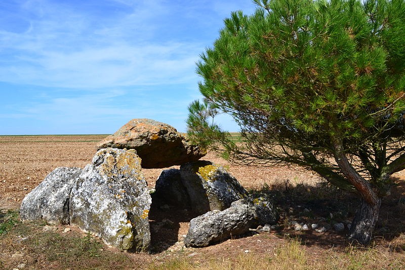 Photo de Dolmen de Cornevache à Selommes