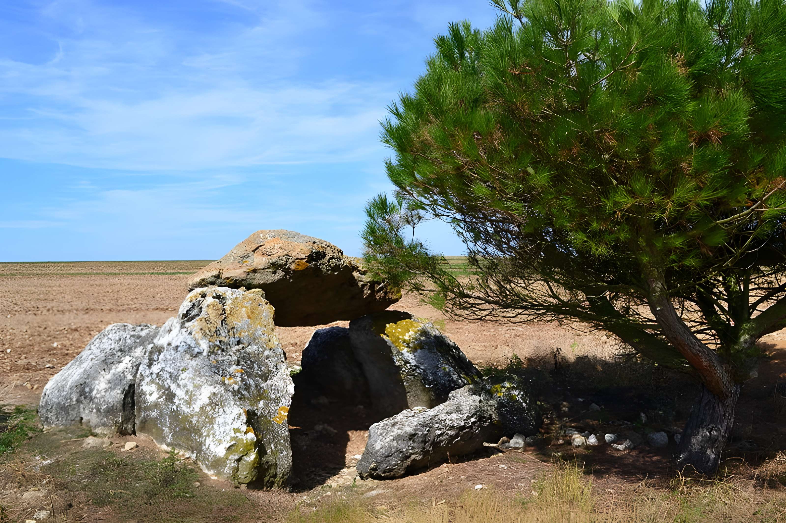 Dolmen de Cornevache à Selommes 