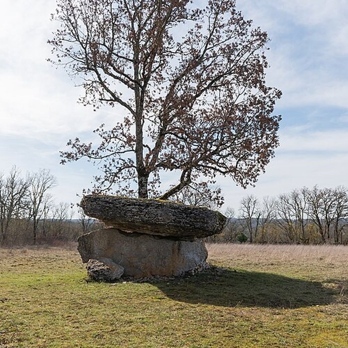 Photo de Dolmen de Ferrières-Haut à Limogne-en-Quercy