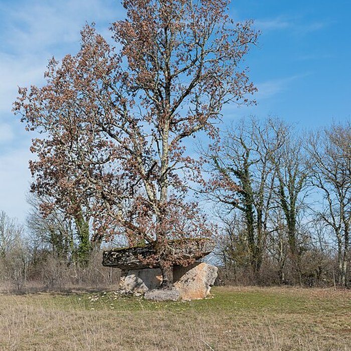Photo de Dolmen de Ferrières-Haut à Limogne-en-Quercy