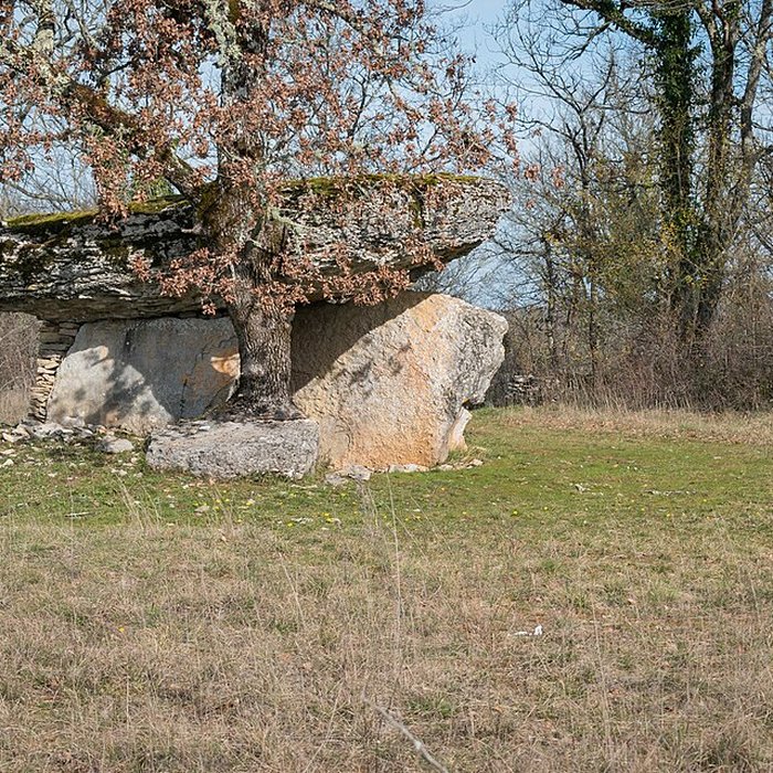 Photo de Dolmen de Ferrières-Haut à Limogne-en-Quercy