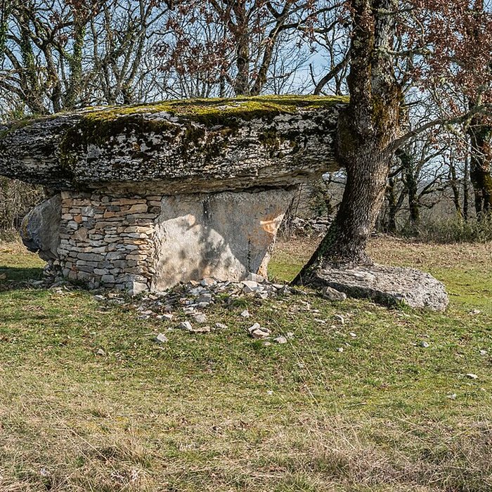 Photo de Dolmen de Ferrières-Haut à Limogne-en-Quercy