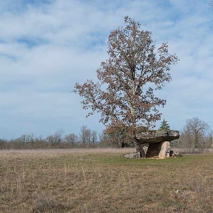 Photo de Dolmen de Ferrières-Haut à Limogne-en-Quercy