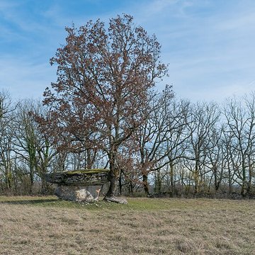 Dolmen de Ferrières-Haut à Limogne-en-Quercy