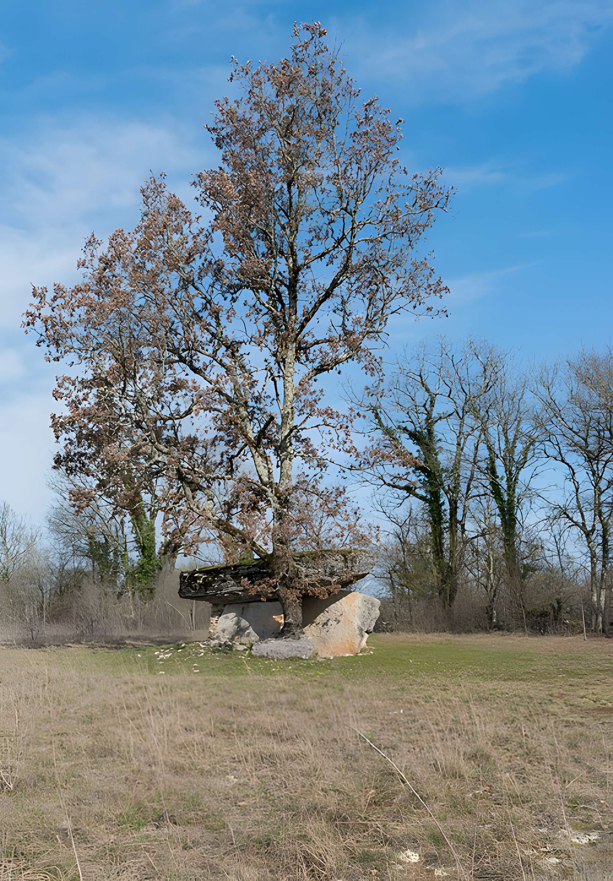 Dolmen de Ferrières-Haut à Limogne-en-Quercy