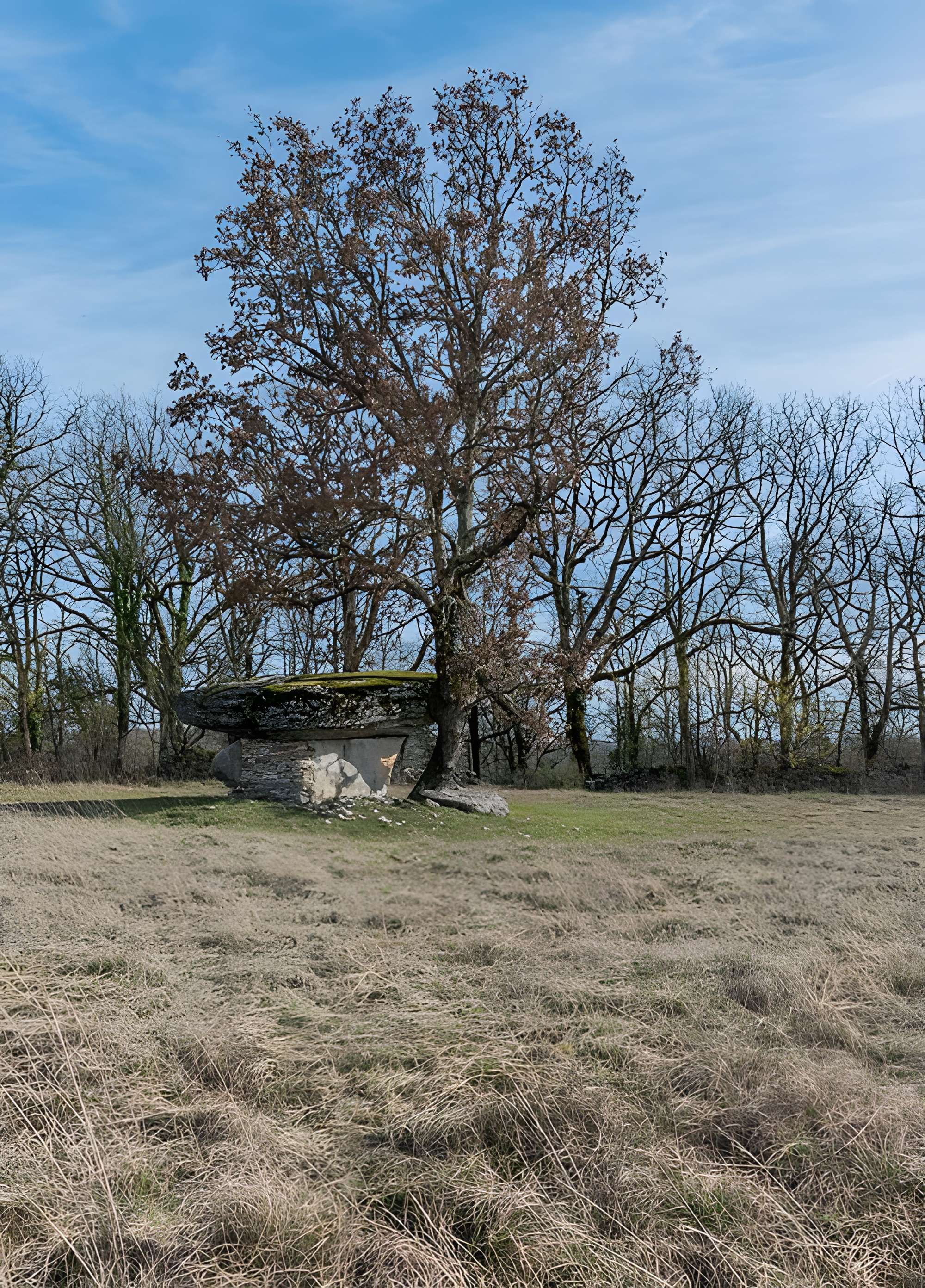 Dolmen de Ferrières-Haut à Limogne-en-Quercy