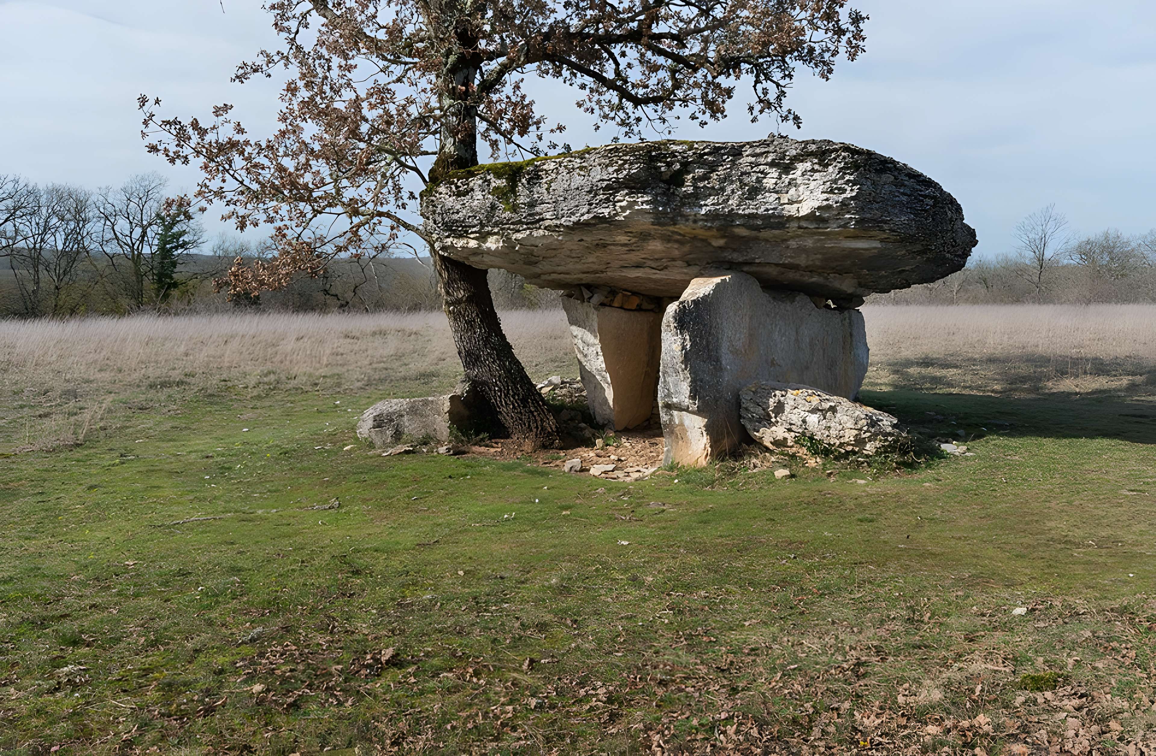 Dolmen de Ferrières-Haut à Limogne-en-Quercy