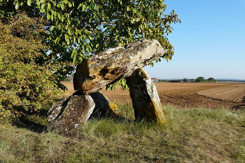 Photo de Dolmen de Fontenaille à Champigny-le-Sec