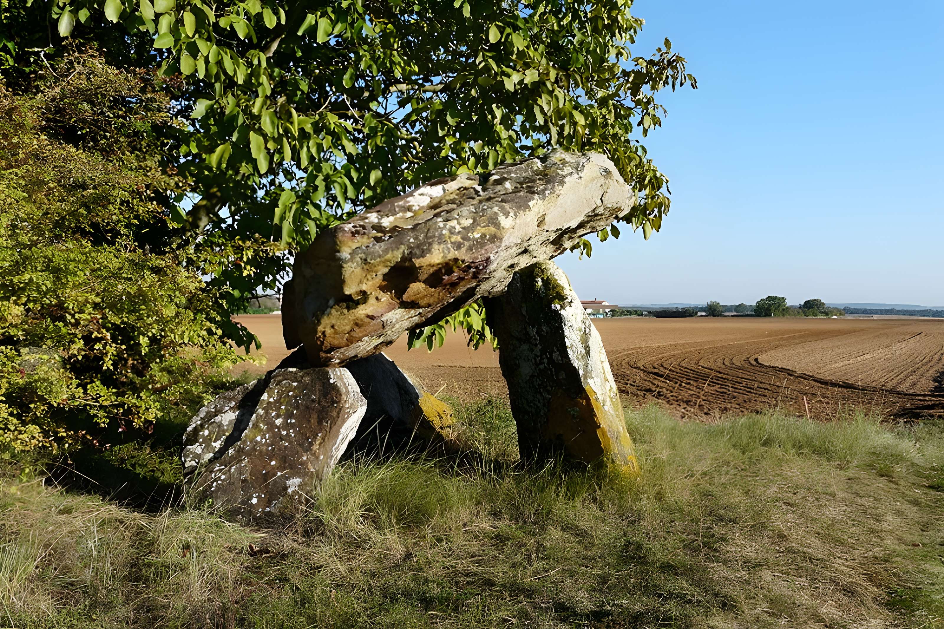 Dolmen de Fontenaille à Champigny-le-Sec 