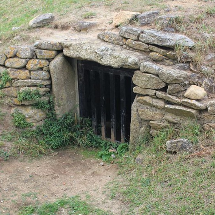 Photo de Dolmen à couloir sous tumulus