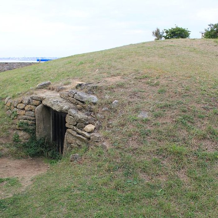 Photo de Dolmen à couloir sous tumulus