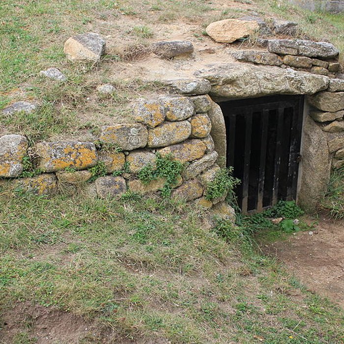 Photo de Dolmen à couloir sous tumulus
