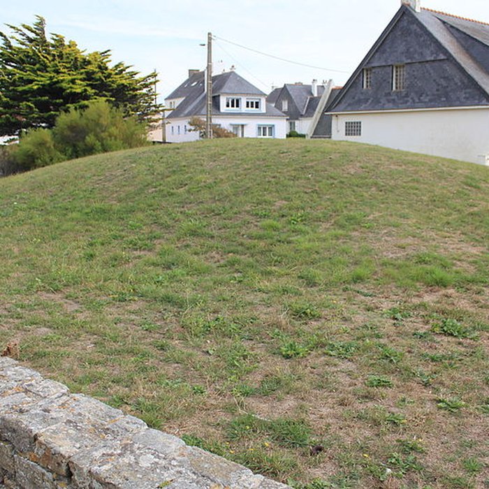 Photo de Dolmen à couloir sous tumulus
