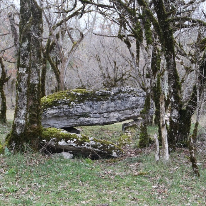 Photo de Dolmen de Joncas à Limogne-en-Quercy