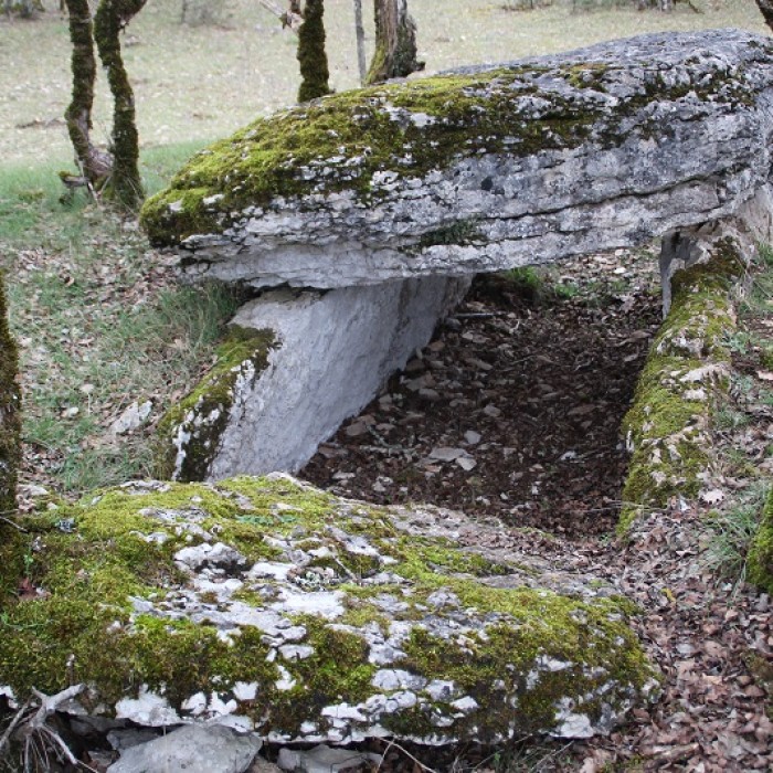 Photo de Dolmen de Joncas à Limogne-en-Quercy