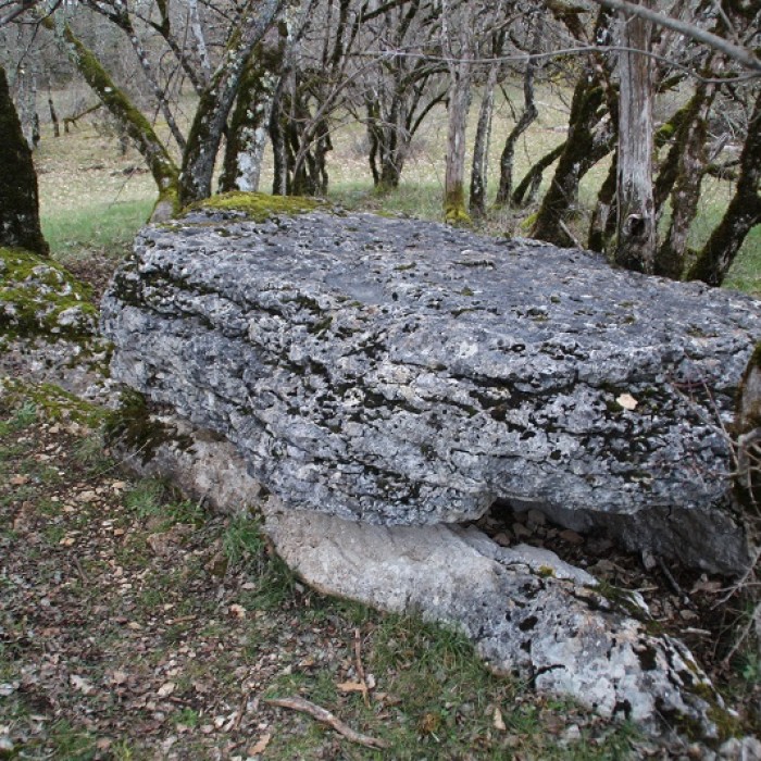 Photo de Dolmen de Joncas à Limogne-en-Quercy
