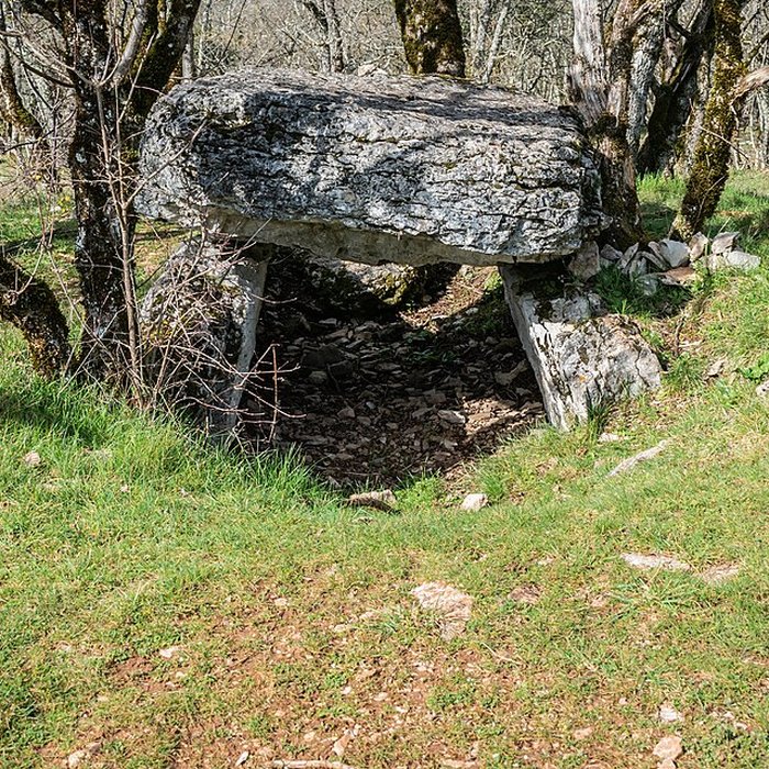 Photo de Dolmen de Joncas à Limogne-en-Quercy
