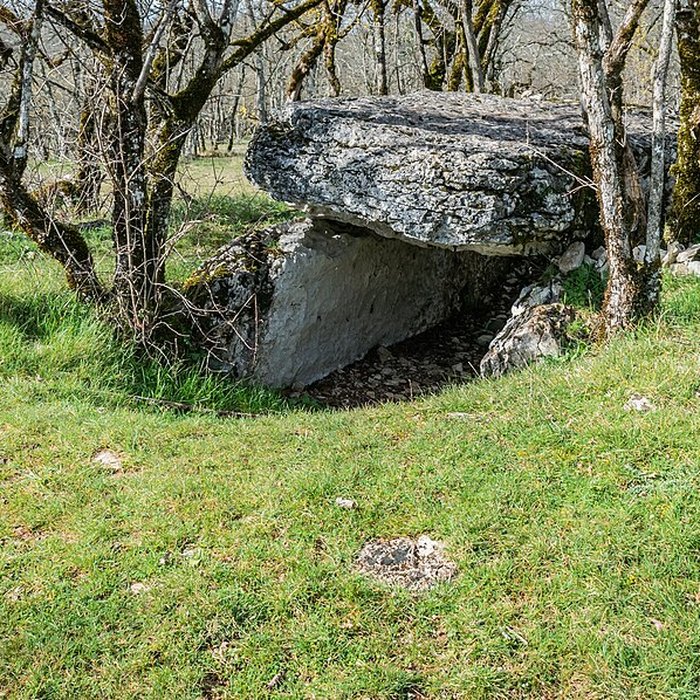 Photo de Dolmen de Joncas à Limogne-en-Quercy