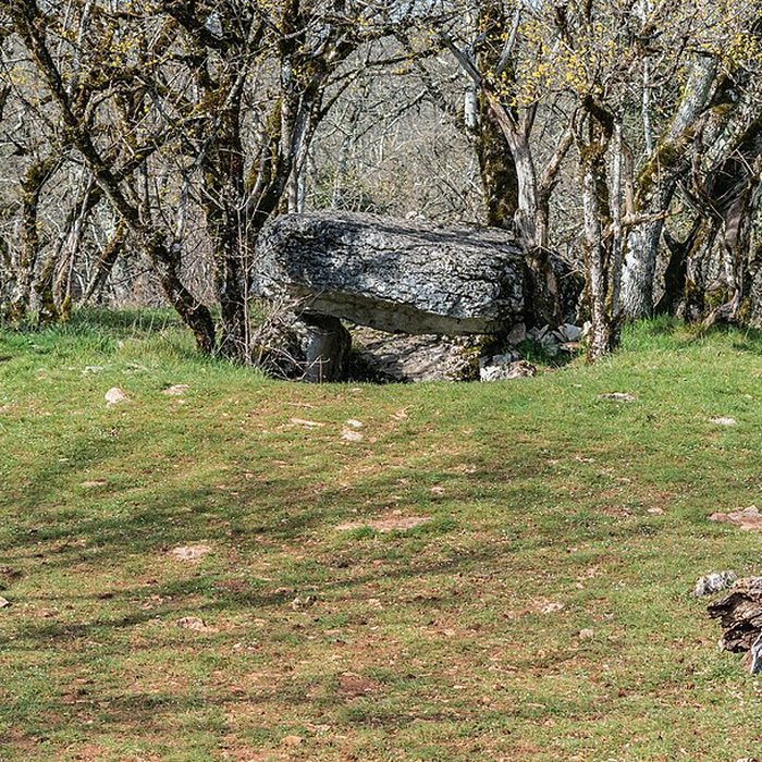 Photo de Dolmen de Joncas à Limogne-en-Quercy