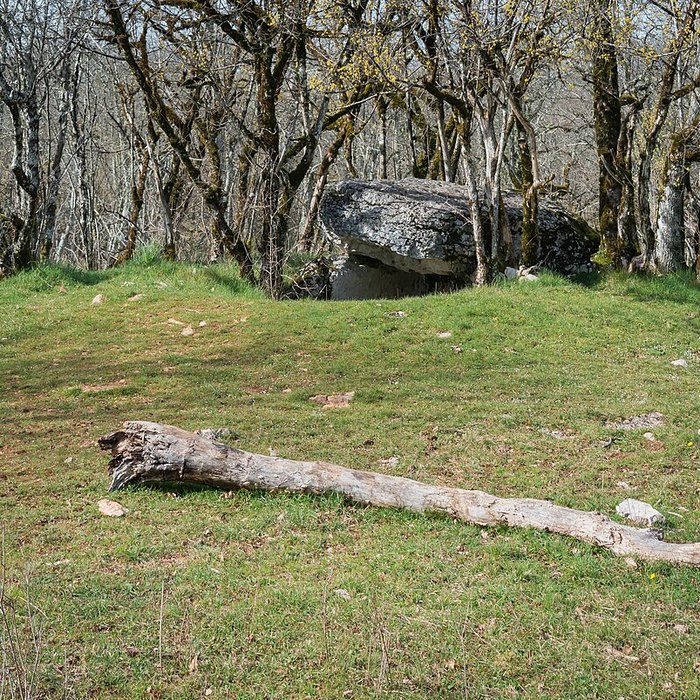 Photo de Dolmen de Joncas à Limogne-en-Quercy