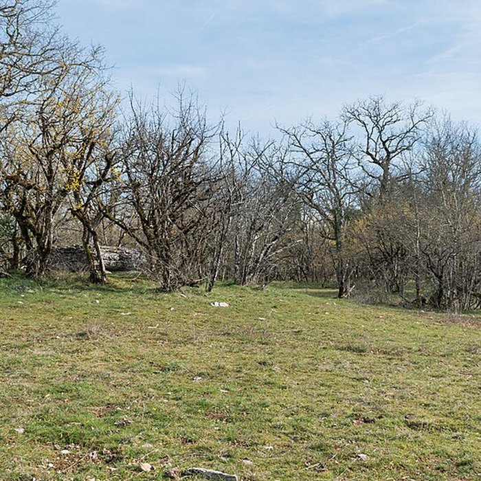 Photo de Dolmen de Joncas à Limogne-en-Quercy