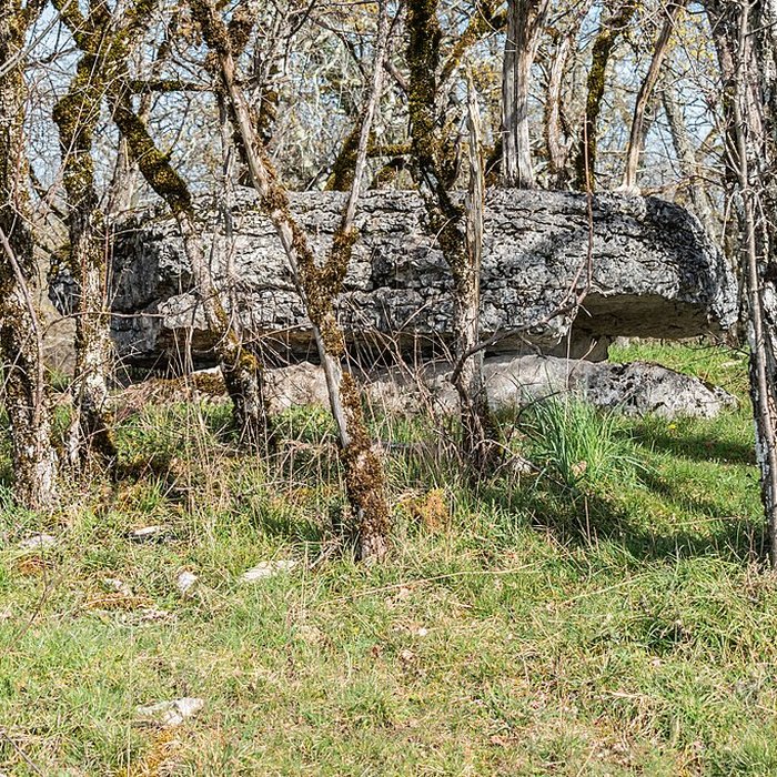 Photo de Dolmen de Joncas à Limogne-en-Quercy