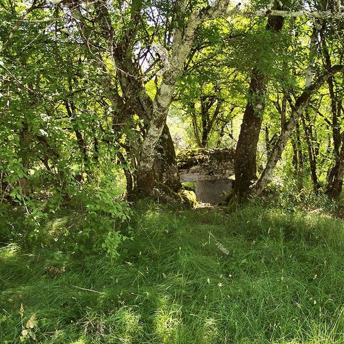 Photo de Dolmen de Joncas à Limogne-en-Quercy
