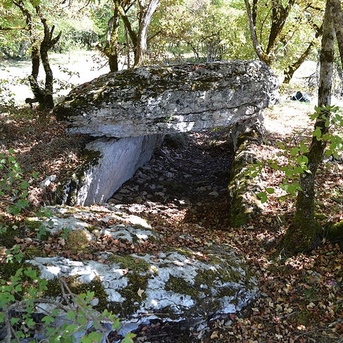 Photo de Dolmen de Joncas à Limogne-en-Quercy
