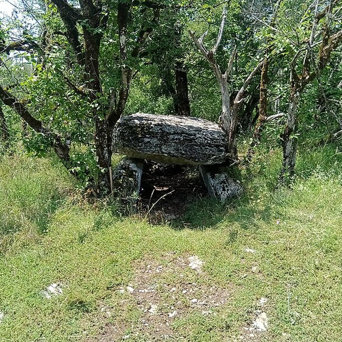 Photo de Dolmen de Joncas à Limogne-en-Quercy