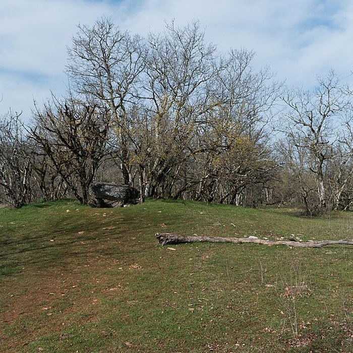 Photo de Dolmen de Joncas à Limogne-en-Quercy