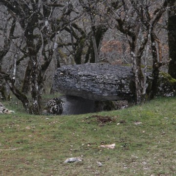 Dolmen de Joncas à Limogne-en-Quercy : Larrière du tumulus