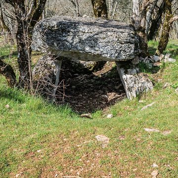 Dolmen de Joncas à Limogne-en-Quercy