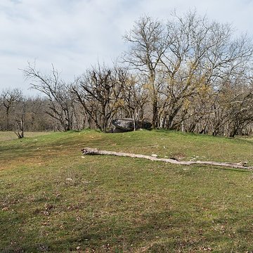 Dolmen de Joncas à Limogne-en-Quercy