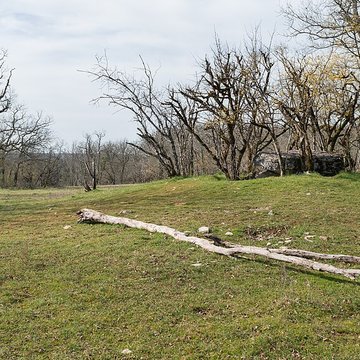 Dolmen de Joncas à Limogne-en-Quercy