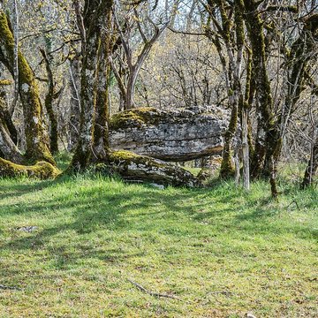 Dolmen de Joncas à Limogne-en-Quercy