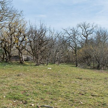 Dolmen de Joncas à Limogne-en-Quercy