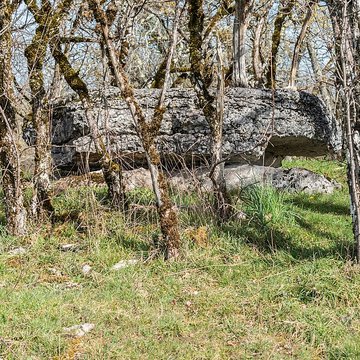 Dolmen de Joncas à Limogne-en-Quercy