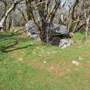 Dolmen de Joncas à Limogne-en-Quercy