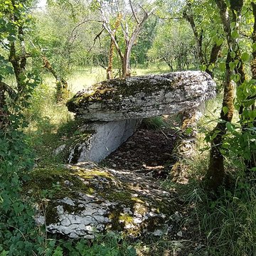 Dolmen de Joncas à Limogne-en-Quercy