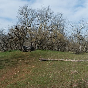 Dolmen de Joncas à Limogne-en-Quercy