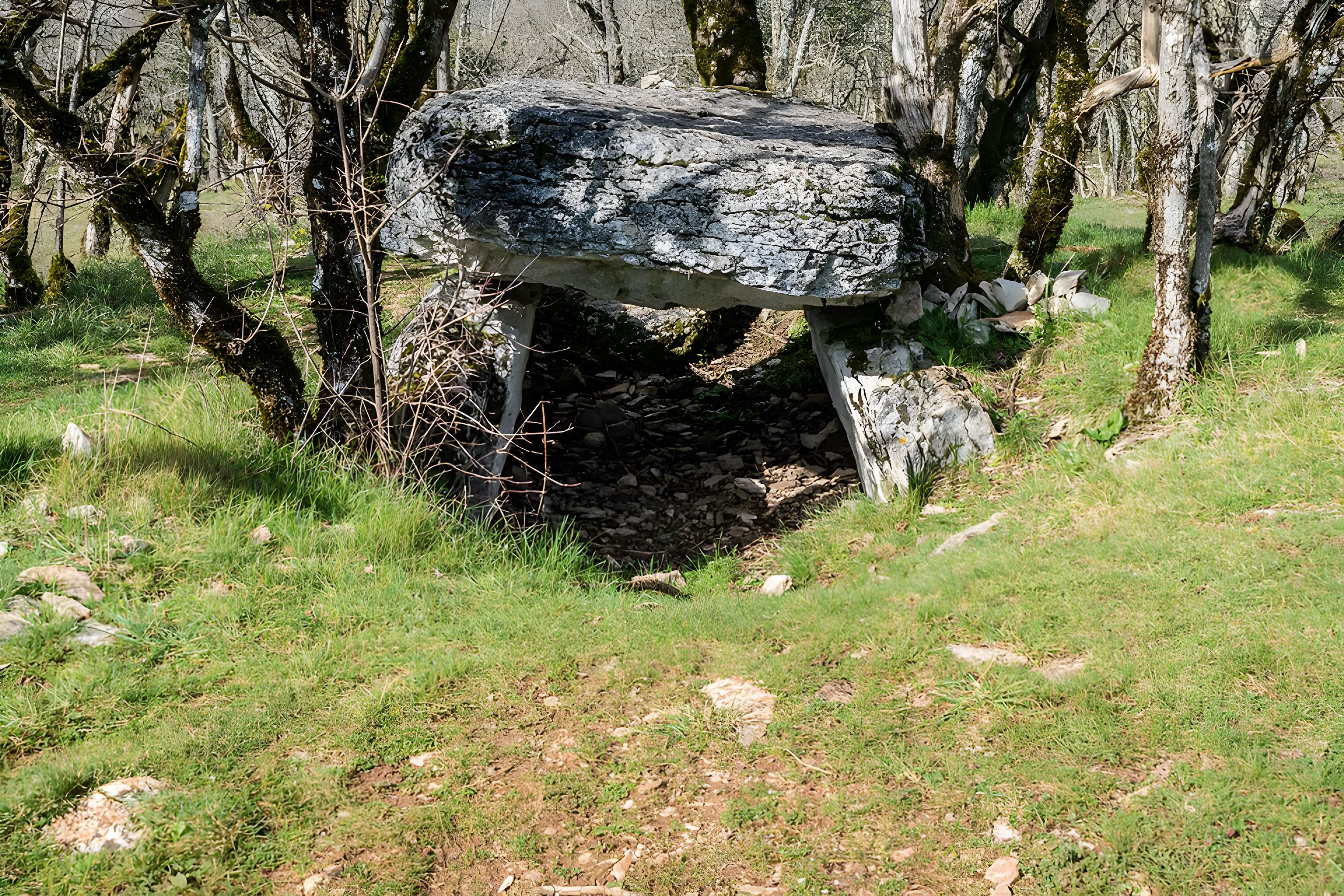 Dolmen de Joncas à Limogne-en-Quercy