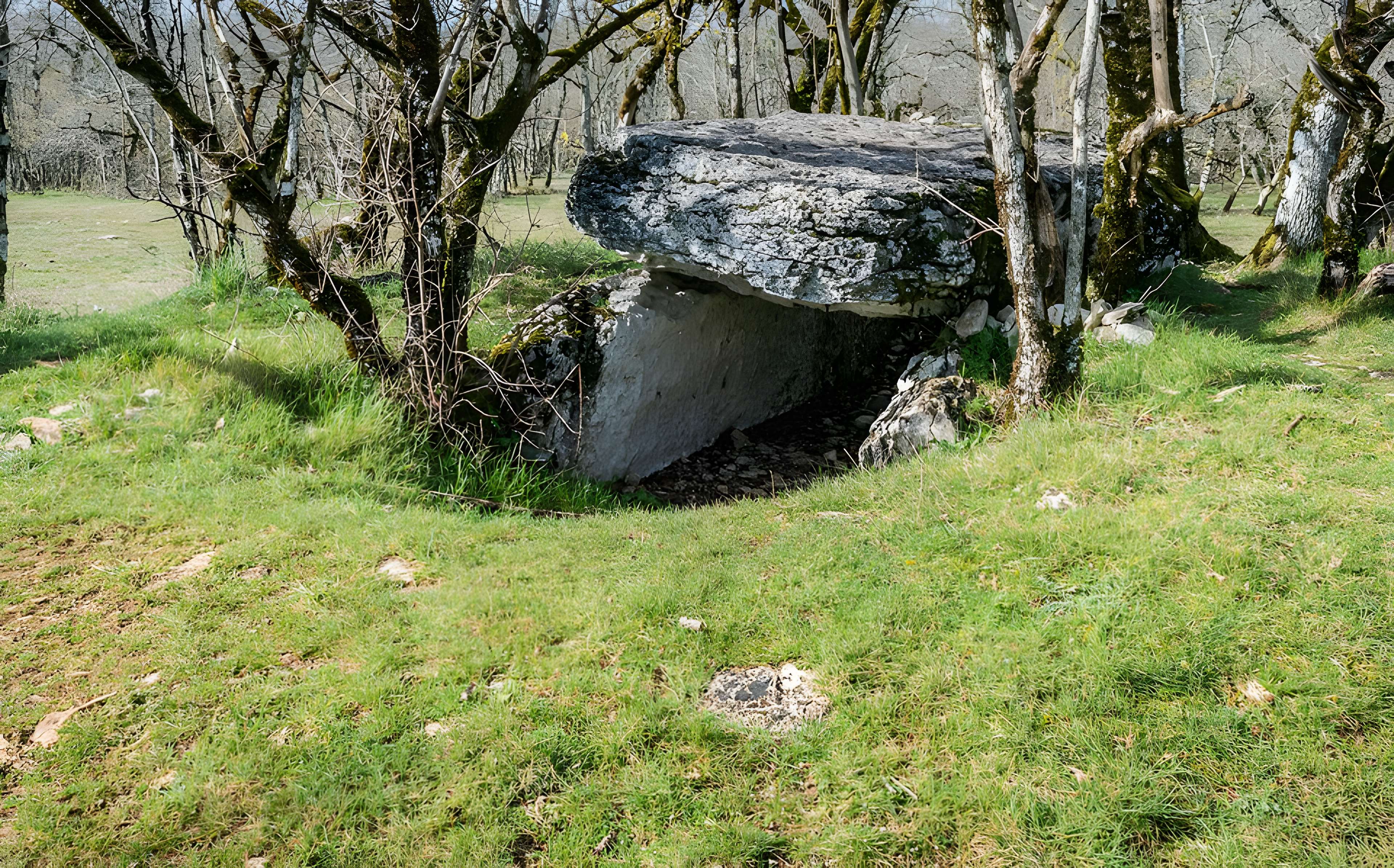 Dolmen de Joncas à Limogne-en-Quercy
