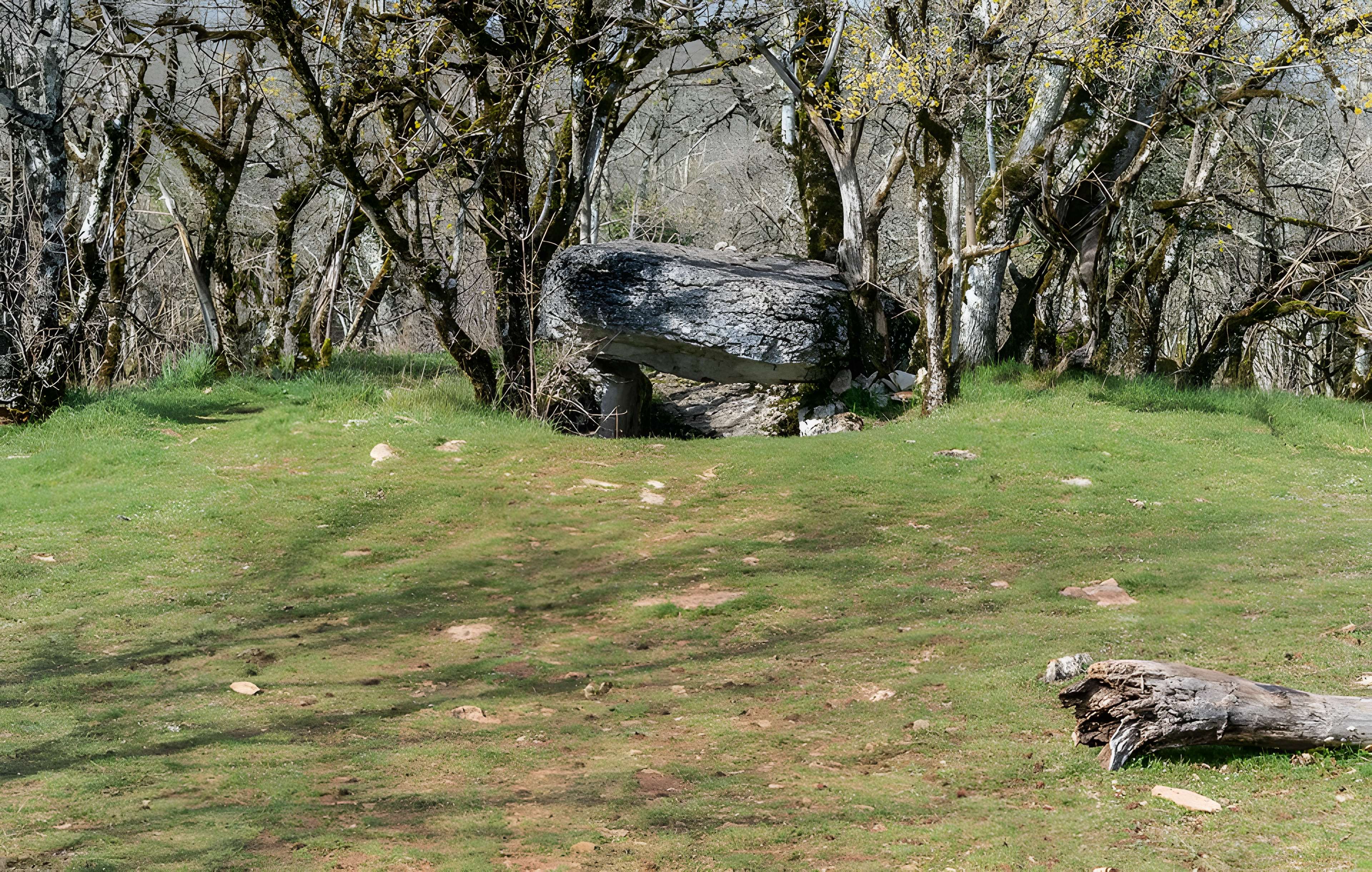 Dolmen de Joncas à Limogne-en-Quercy