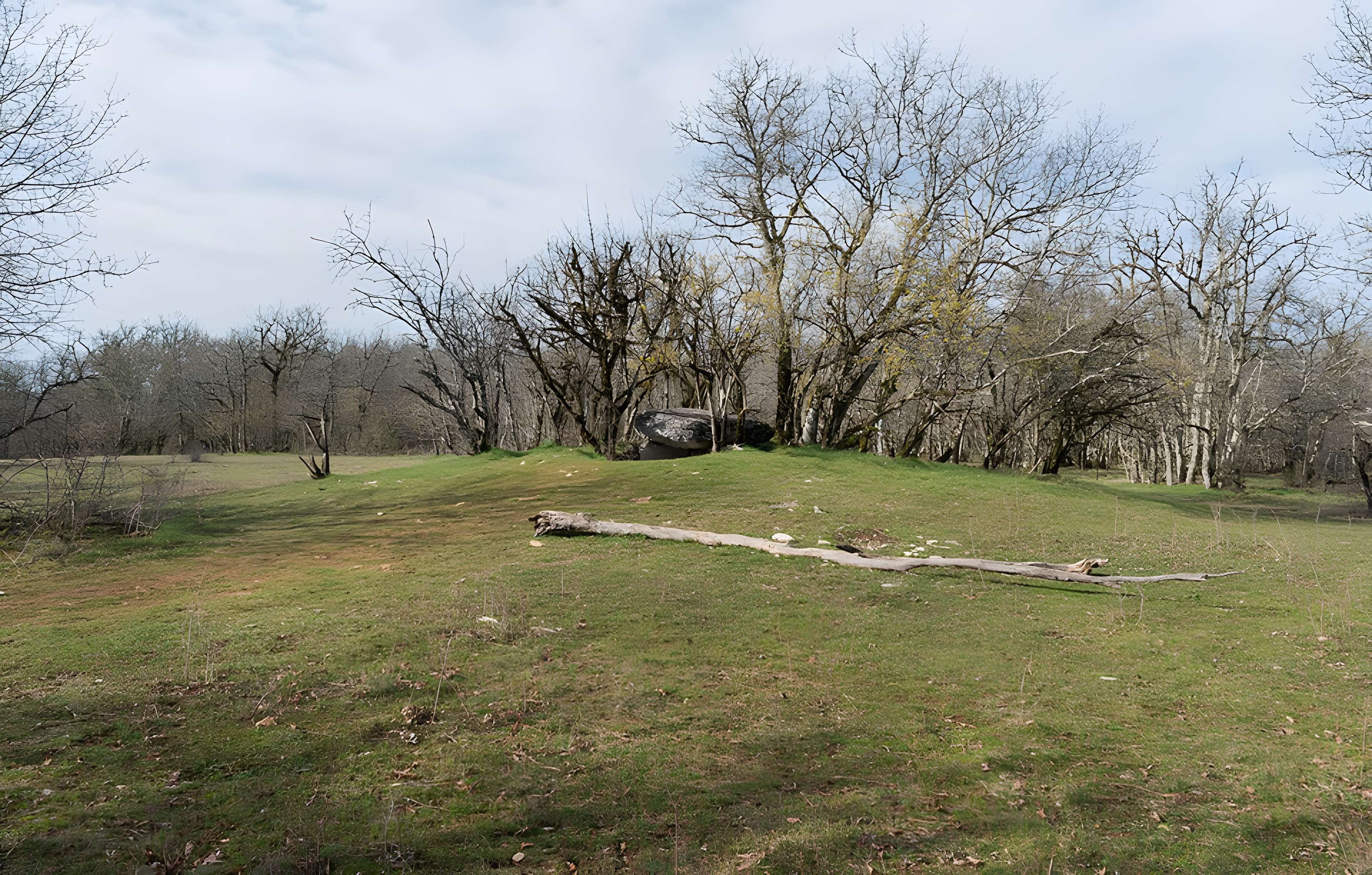 Dolmen de Joncas à Limogne-en-Quercy