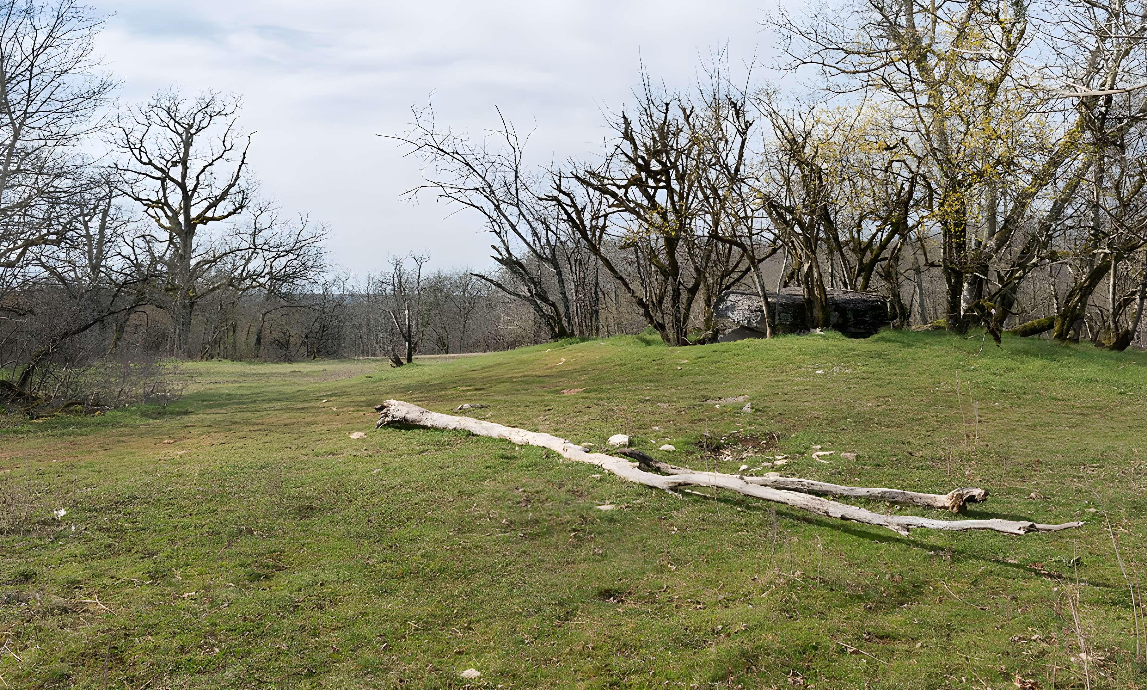 Dolmen de Joncas à Limogne-en-Quercy