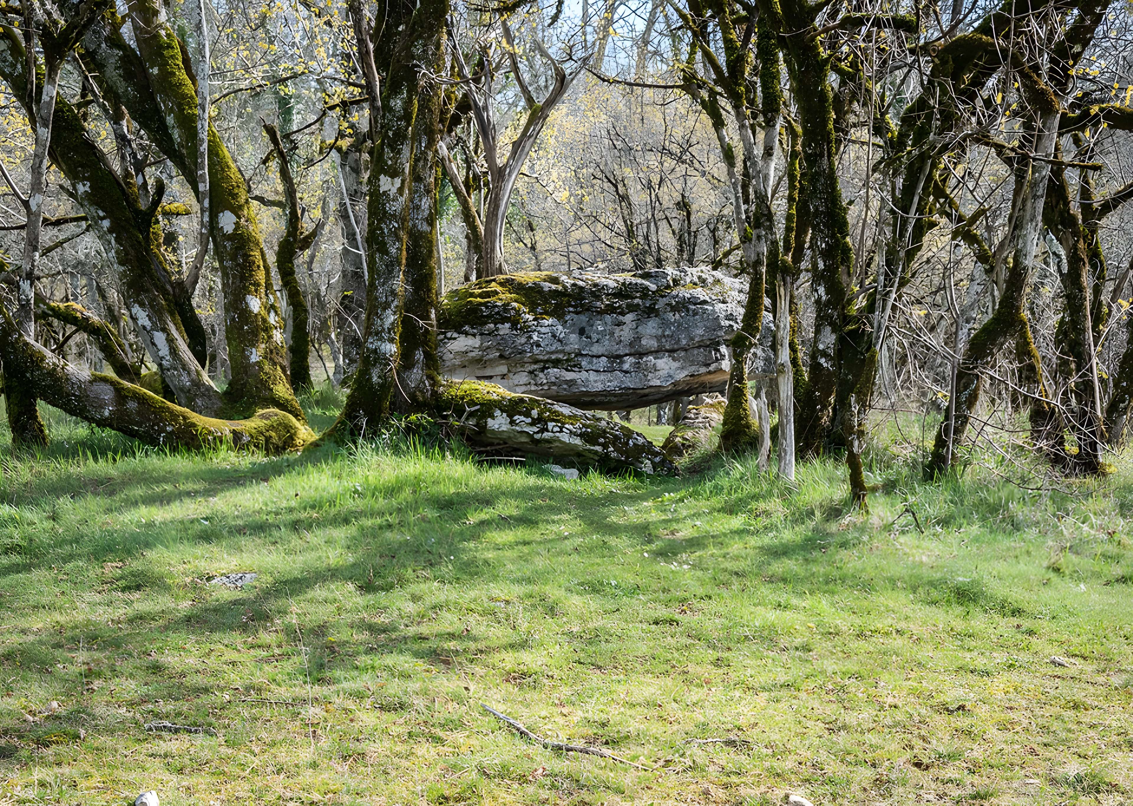 Dolmen de Joncas à Limogne-en-Quercy