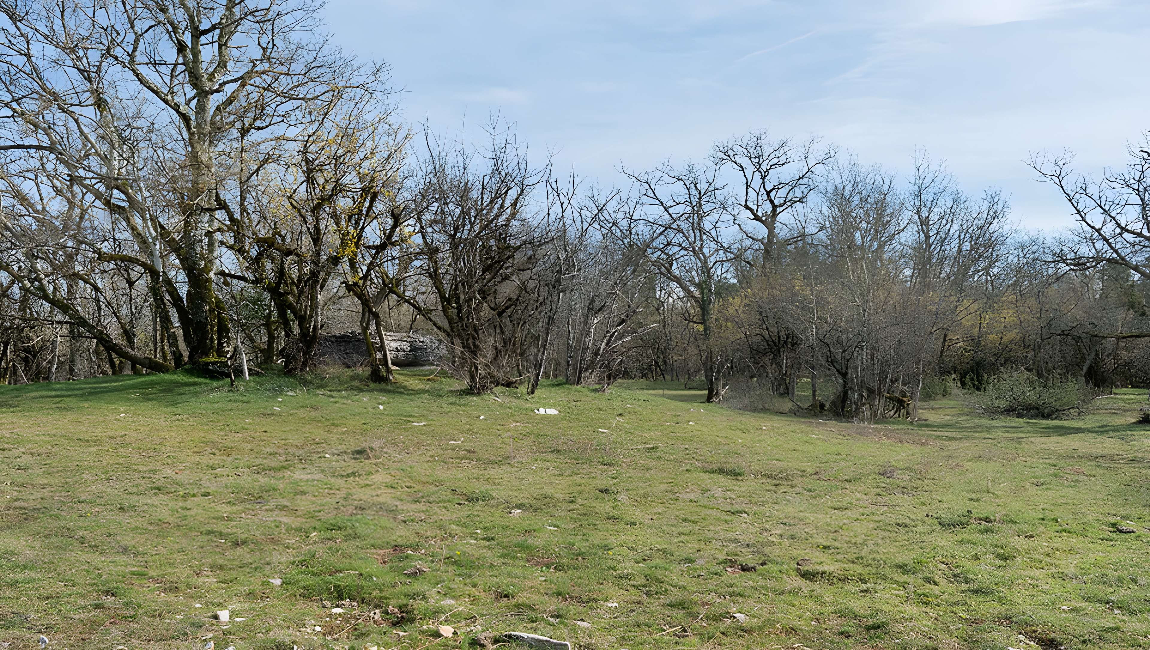 Dolmen de Joncas à Limogne-en-Quercy