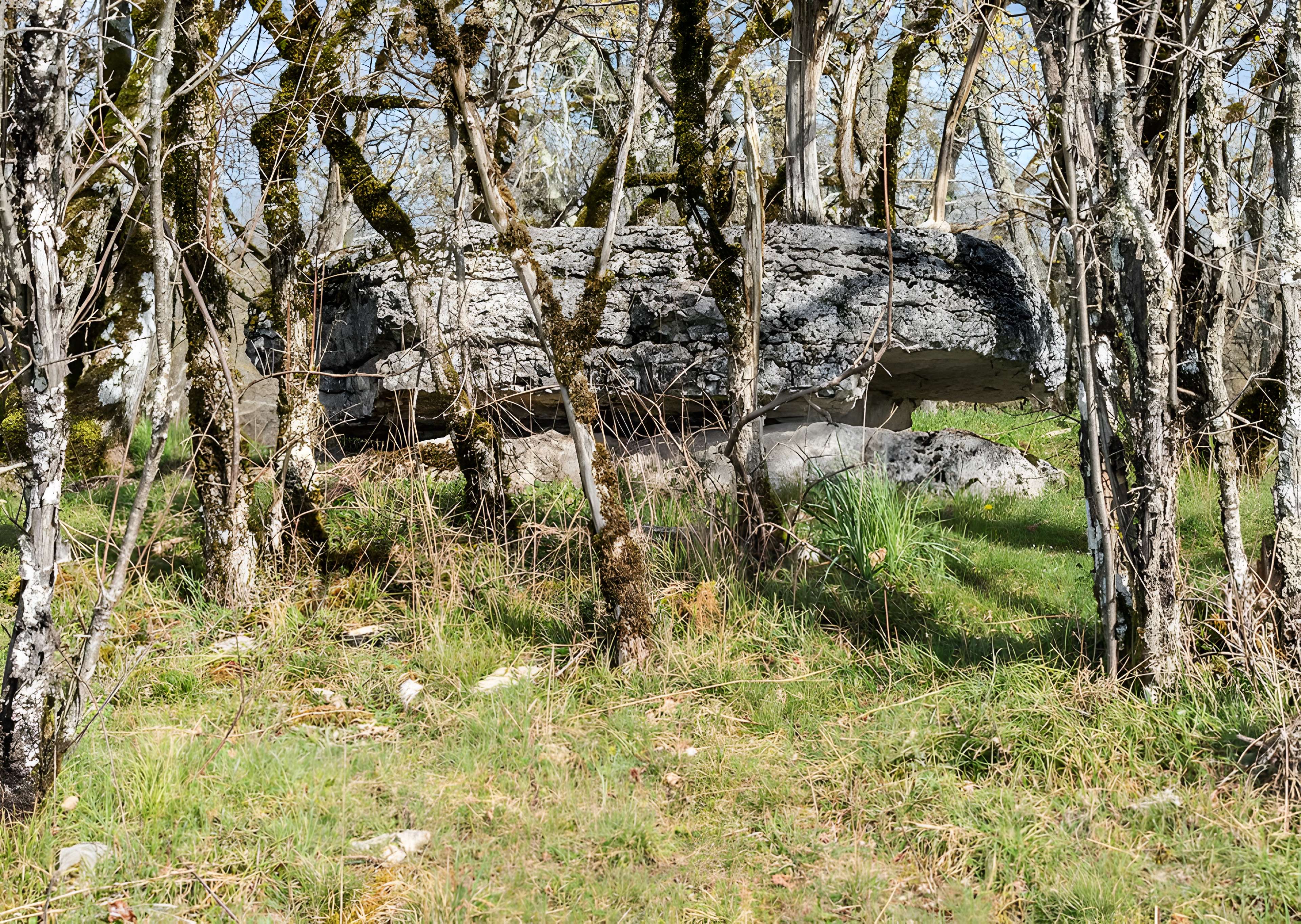 Dolmen de Joncas à Limogne-en-Quercy