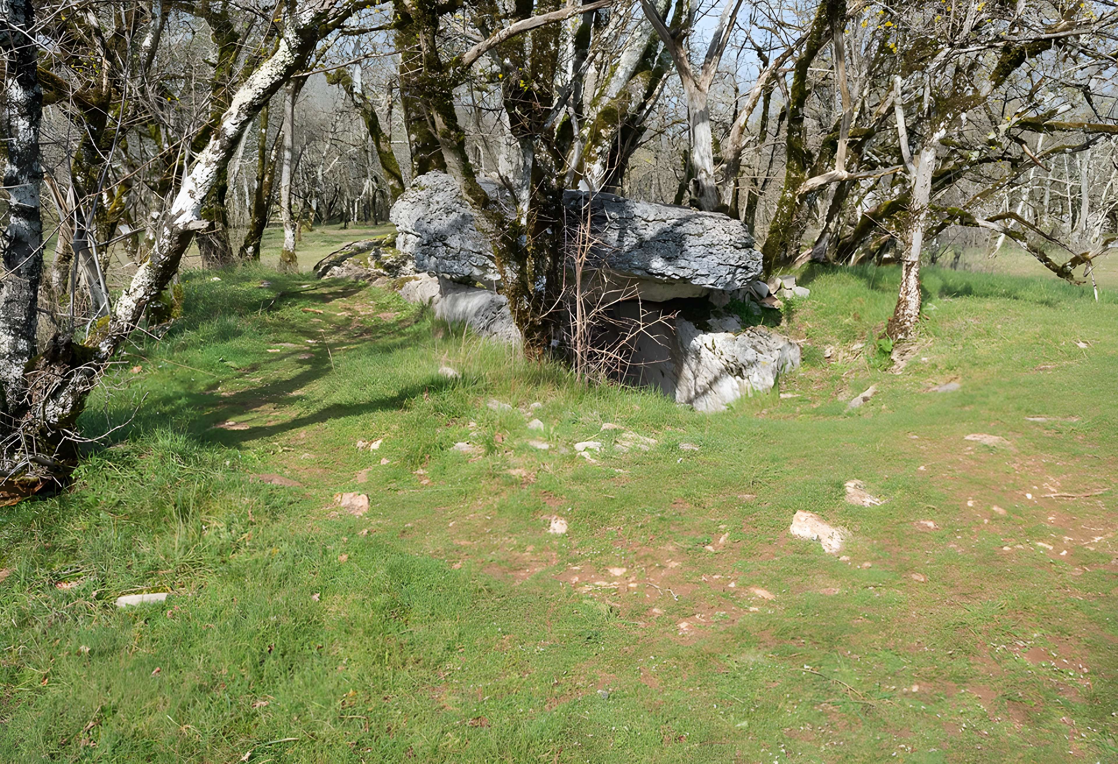 Dolmen de Joncas à Limogne-en-Quercy