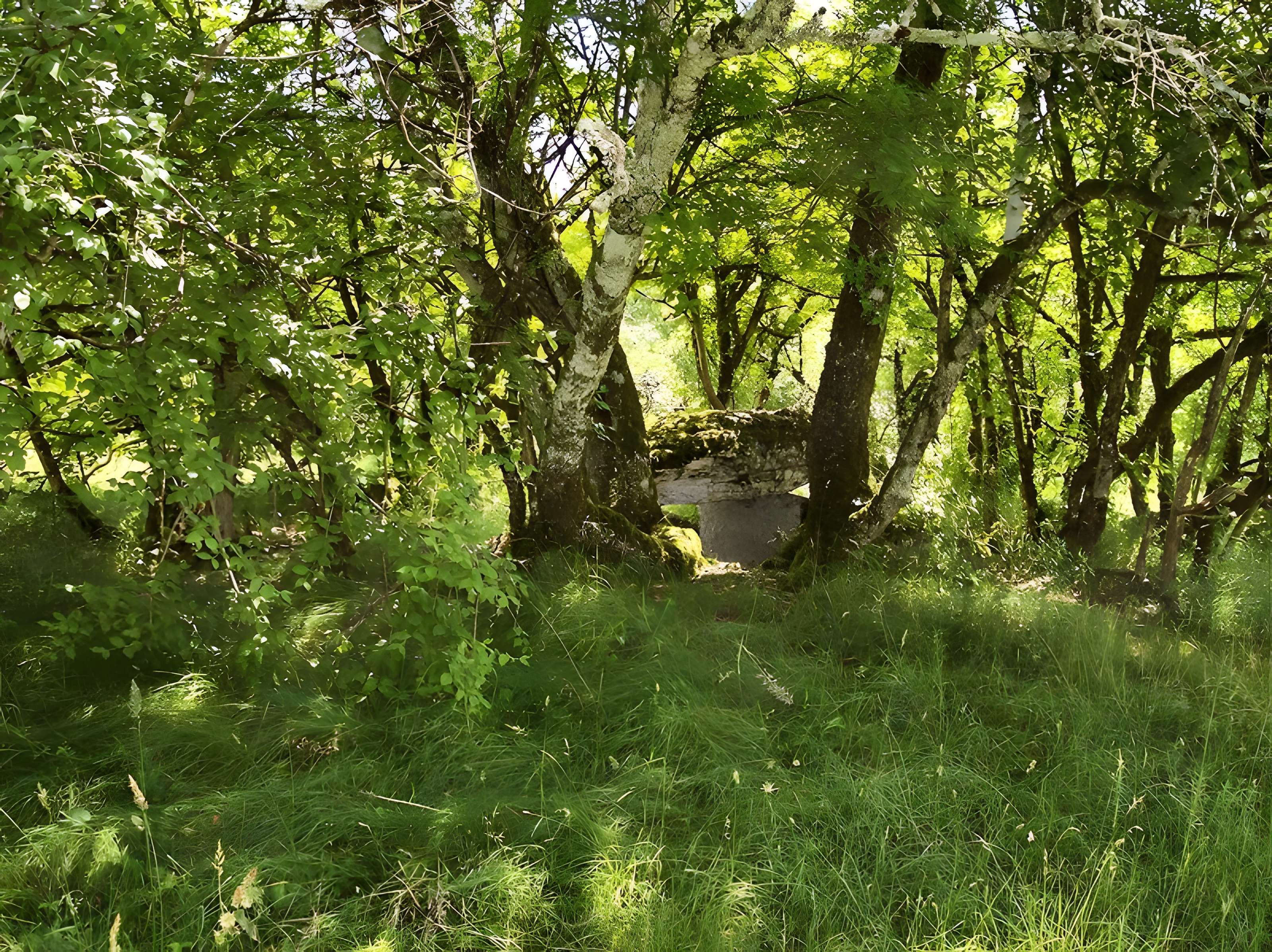Dolmen de Joncas à Limogne-en-Quercy
